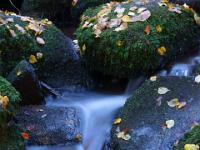 Kaskade im Ruderszeller Bach